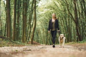 One Health: the connection between pet health and human health