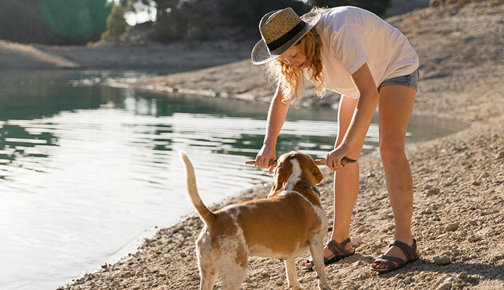 dog in the lake