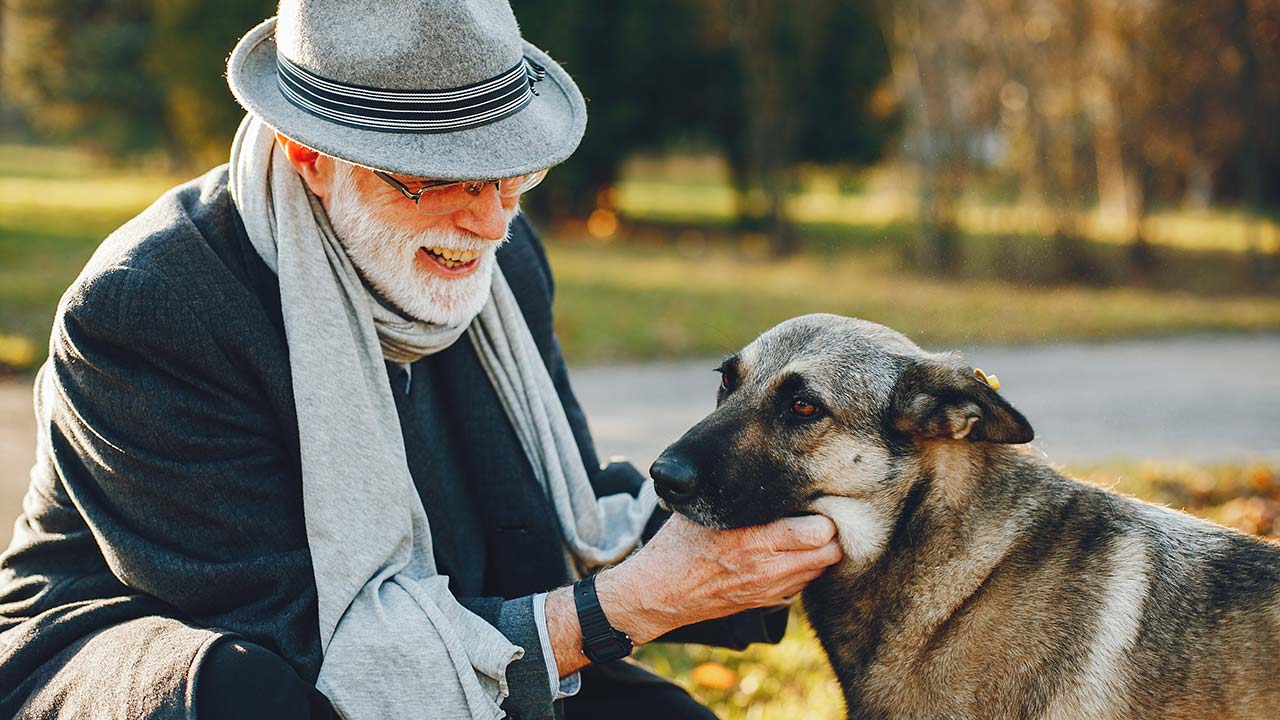 Taking Care of Senior and Disabled Pets
