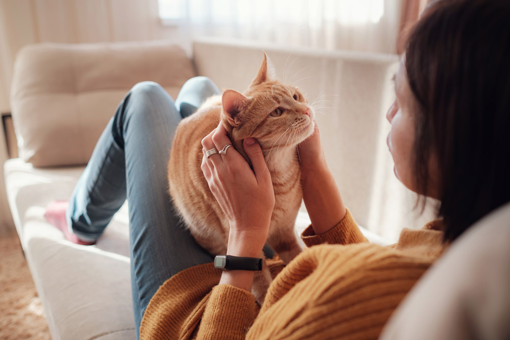 Pet Behavior Tips To Understand Your Pet Better